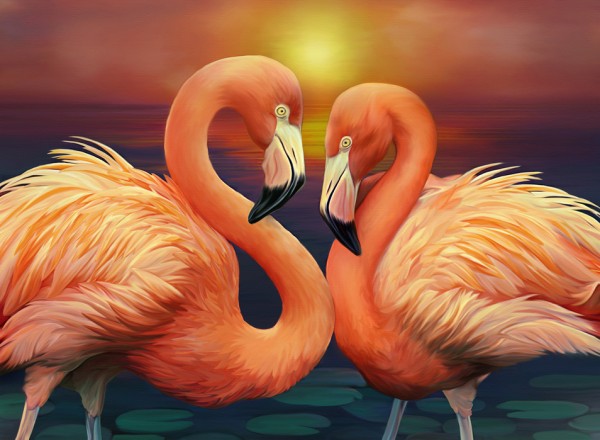 輸入壁紙 カスタム壁紙 PHOTOWALL / Flamingos in Love (e24126)