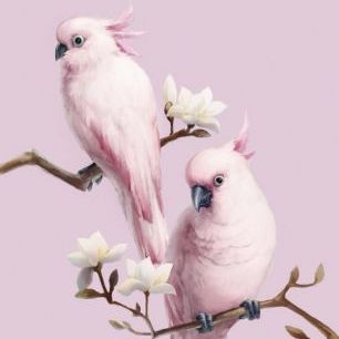 輸入壁紙 カスタム壁紙 PHOTOWALL / Pink Birds Perching on Magnolia (e24134)
