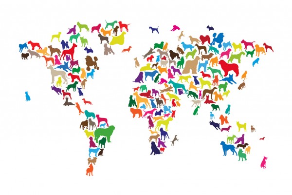 輸入壁紙 カスタム壁紙 PHOTOWALL / Dogs World Map Multicolor (e24207)