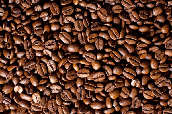 輸入壁紙 カスタム壁紙 Photowall Coffee Beans E24221 壁紙屋本舗
