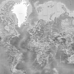輸入壁紙 カスタム壁紙 PHOTOWALL / World Map Detailed - Without Roads - Grey (e24436)