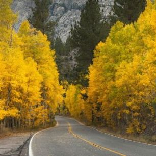 輸入壁紙 カスタム壁紙 PHOTOWALL / Eastern Sierra Autumn Landscape (e24564)