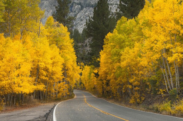 輸入壁紙 カスタム壁紙 PHOTOWALL / Eastern Sierra Autumn Landscape (e24564)
