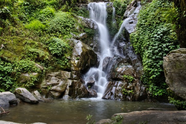 輸入壁紙 カスタム壁紙 PHOTOWALL / Waterfall and Forest Pool (e24584)
