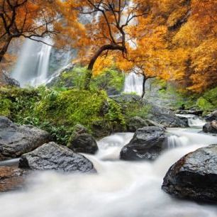 輸入壁紙 カスタム壁紙 PHOTOWALL / Autumn Waterfall (e24585)