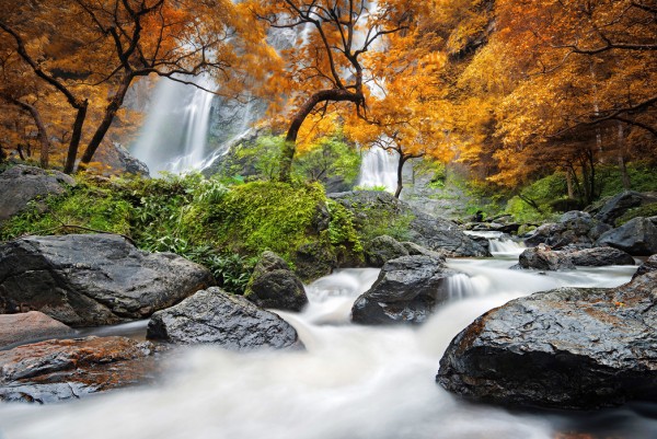 輸入壁紙 カスタム壁紙 PHOTOWALL / Autumn Waterfall (e24585)