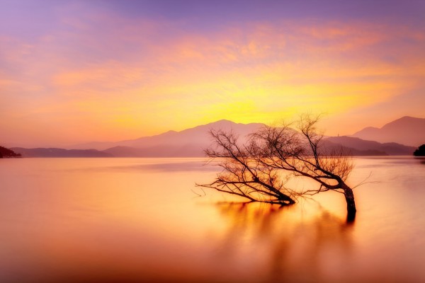 輸入壁紙 カスタム壁紙 PHOTOWALL / Rosy Sunset over Lake (e24665)