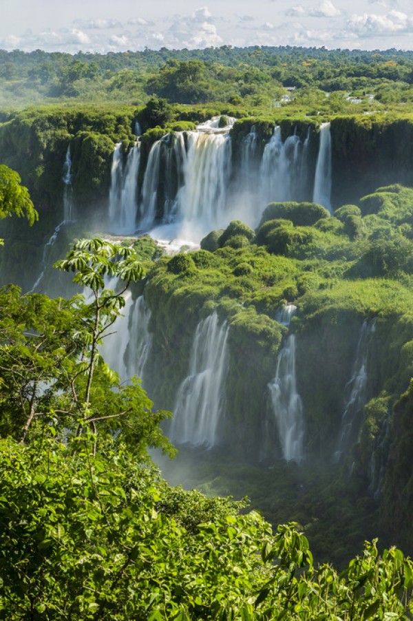 輸入壁紙 カスタム壁紙 PHOTOWALL / Iguazu Waterfall Through Trees (e24672)