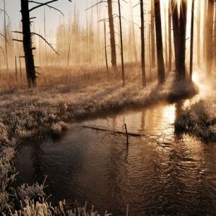 輸入壁紙 カスタム壁紙 PHOTOWALL / Frosty Yellowstone Morning (e24814)