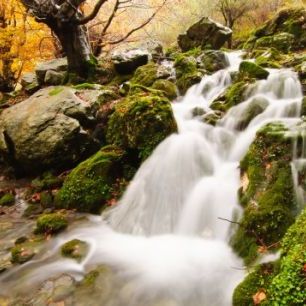 輸入壁紙 カスタム壁紙 PHOTOWALL / Waterfall of Collados del Ason (e24842)