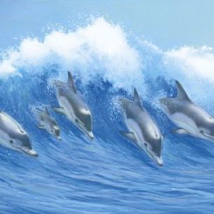 輸入壁紙 カスタム壁紙 PHOTOWALL / Leaping Dolphins (e21678)