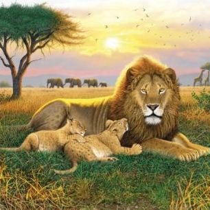 輸入壁紙 カスタム壁紙 PHOTOWALL / Kings of the Serengeti (e21684)