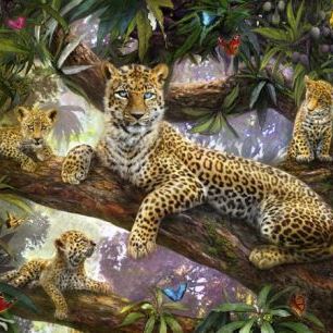 輸入壁紙 カスタム壁紙 PHOTOWALL / Tree Top Leopard Family (e21750)