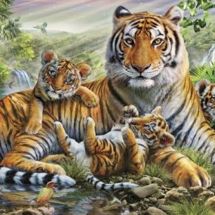 輸入壁紙 カスタム壁紙 PHOTOWALL / Tiger and Cubs (e23150)