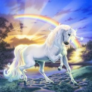 輸入壁紙 カスタム壁紙 PHOTOWALL / Rainbow Unicorn (e23152)
