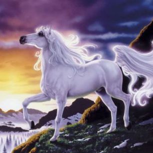 輸入壁紙 カスタム壁紙 PHOTOWALL / Mountain Fantasy Horse (e23153)