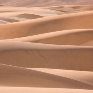 輸入壁紙 カスタム壁紙 PHOTOWALL / Dunes of the Desert (e40396)