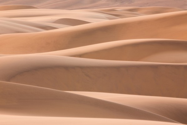 輸入壁紙 カスタム壁紙 PHOTOWALL / Dunes of the Desert (e40396)