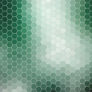 輸入壁紙 カスタム壁紙 PHOTOWALL / Emerald Green Hexagons (e25013)