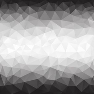 輸入壁紙 カスタム壁紙 PHOTOWALL / Polygonal Grey Shades (e25041)
