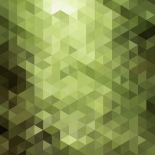 輸入壁紙 カスタム壁紙 PHOTOWALL / Triangle Polygons Art Pattern (e25050)