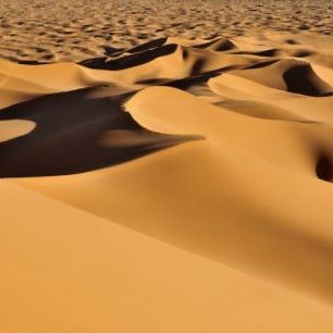 輸入壁紙 カスタム壁紙 PHOTOWALL / Sand Dunes (e40412)