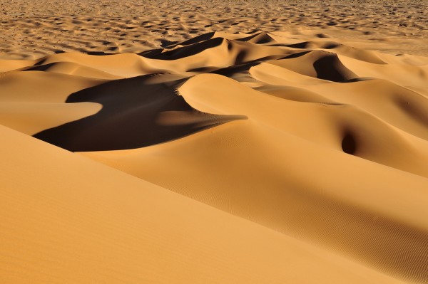輸入壁紙 カスタム壁紙 PHOTOWALL / Sand Dunes (e40412)