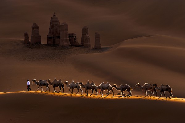 輸入壁紙 カスタム壁紙 PHOTOWALL / Castle and Camels (e29481)