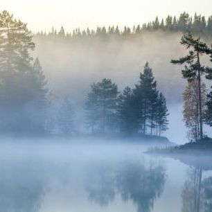 輸入壁紙 カスタム壁紙 PHOTOWALL / Norwegian Mist (e29539)