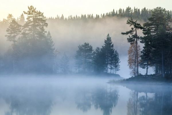 輸入壁紙 カスタム壁紙 PHOTOWALL / Norwegian Mist (e29539)