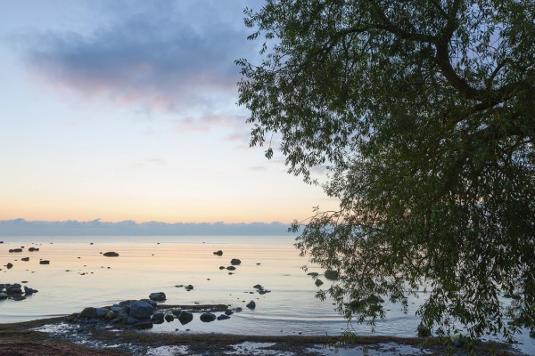 輸入壁紙 カスタム壁紙 PHOTOWALL / Gotland Sea Landscape at Sunset (e23780)