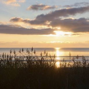 輸入壁紙 カスタム壁紙 PHOTOWALL / Grass and Sunset - Gotland (e23781)
