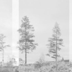 輸入壁紙 カスタム壁紙 PHOTOWALL / Panorama - Grey (e24480)