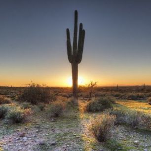 輸入壁紙 カスタム壁紙 PHOTOWALL / Desert Sunset (e40333)
