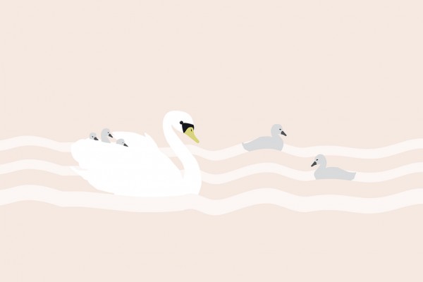 輸入壁紙 カスタム壁紙 PHOTOWALL / Swan mom and bebe - Rose (e24989)