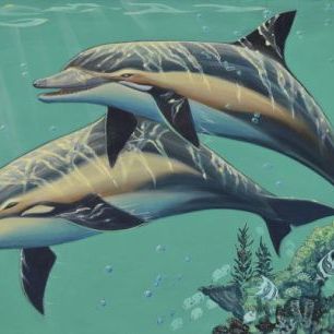 輸入壁紙 カスタム壁紙 PHOTOWALL / Common Dolphins (e29542)
