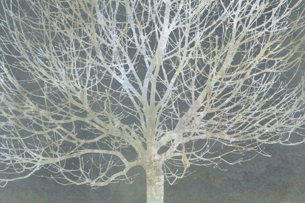 輸入壁紙 カスタム壁紙 PHOTOWALL / Silver Trees (e25609)