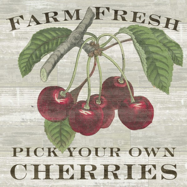 輸入壁紙 カスタム壁紙 PHOTOWALL / Farm Fresh Cherries (e25640)