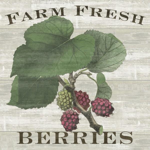 輸入壁紙 カスタム壁紙 PHOTOWALL / Farm Fresh Raspberries (e25641)
