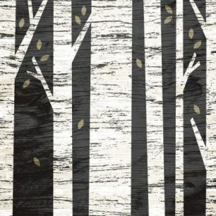 輸入壁紙 カスタム壁紙 PHOTOWALL / Graphic Birch Forest (e25644)