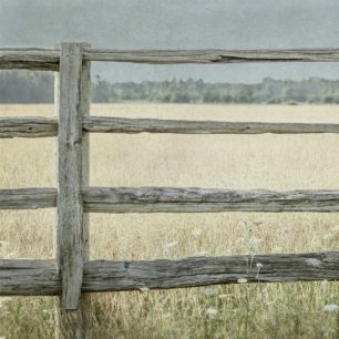 輸入壁紙 カスタム壁紙 PHOTOWALL / Meadow Fence (e25647)