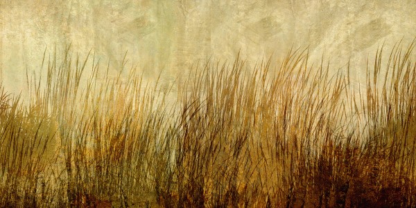 輸入壁紙 カスタム壁紙 PHOTOWALL / Amber Grass Silhouette (e25724)