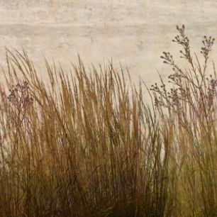 輸入壁紙 カスタム壁紙 PHOTOWALL / Brass Grass Silhouette (e25726)