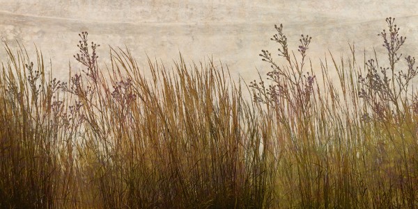 輸入壁紙 カスタム壁紙 PHOTOWALL / Brass Grass Silhouette (e25726)