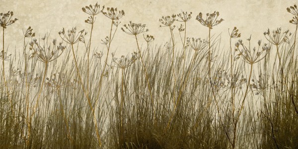 輸入壁紙 カスタム壁紙 PHOTOWALL / Golden Grass Silhouette (e25729)