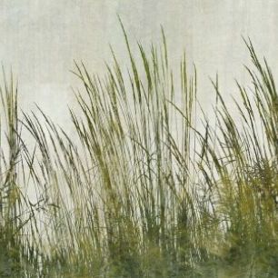 輸入壁紙 カスタム壁紙 PHOTOWALL / Green Grass Silhouette (e25730)