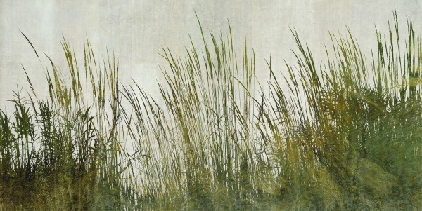 輸入壁紙 カスタム壁紙 PHOTOWALL / Green Grass Silhouette (e25730)