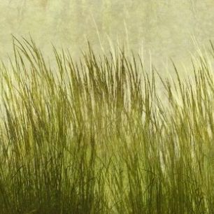 輸入壁紙 カスタム壁紙 PHOTOWALL / Light Green Grass Silhouette (e25731)