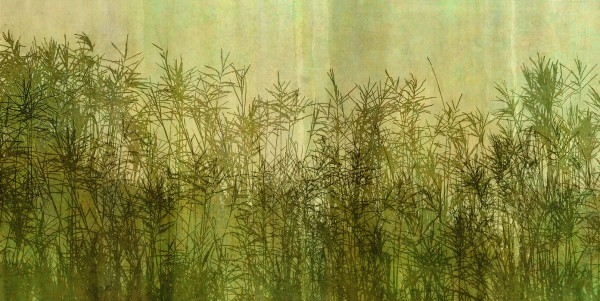 輸入壁紙 カスタム壁紙 PHOTOWALL / Miscanthus Grass Silhouette (e25732)