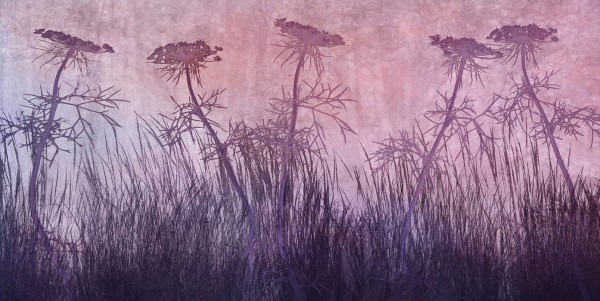 輸入壁紙 カスタム壁紙 PHOTOWALL / Purple Grass Silhouette (e25733)